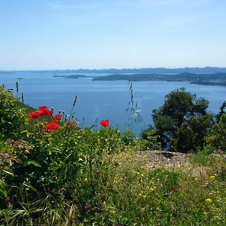 Karetina Luxury Guest House-5 Min To The Βίλα *